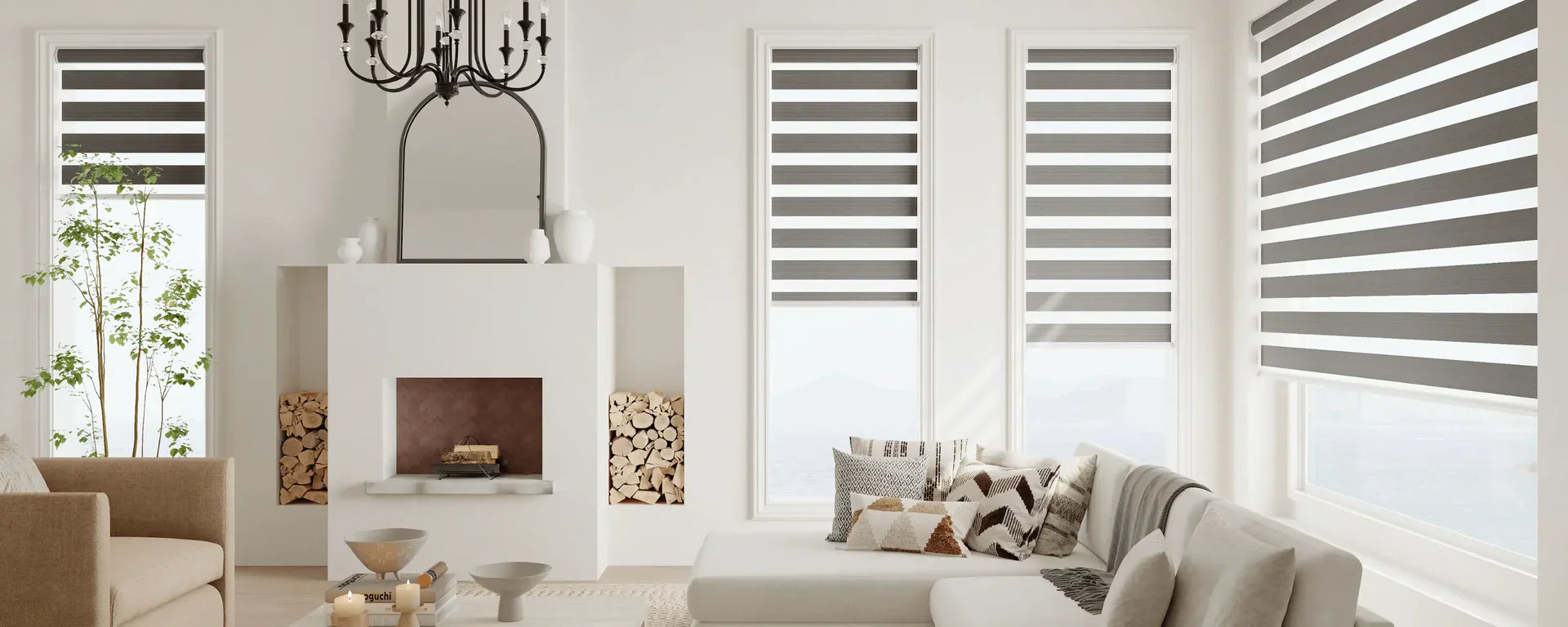 Shades & Blinds